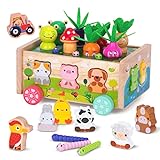 Montessori Spielzeug ab 1 2 3 Jahr | Karotten Steckspiel Holz | Montessori Geschenk Mädchen Jungen | Kinder Holzspielzeug...